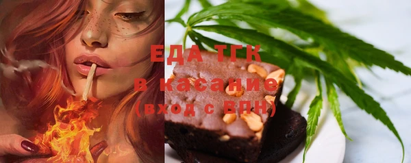 индика Баксан