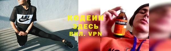 индика Баксан