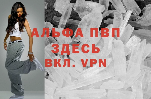 индика Баксан