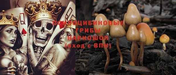 индика Баксан