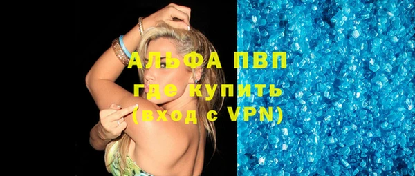индика Баксан